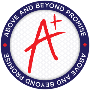 APM_promise-seal_DEC2024